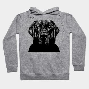 Black Labrador Hoodie